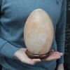Salt Lamp Egg - Wooden Base