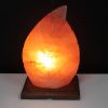 Shape Salt Lamp - Fern