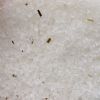 Himalayan Bath Salt Blend 500g - Clarity